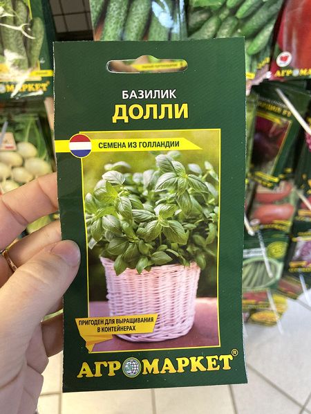 базилик Долли